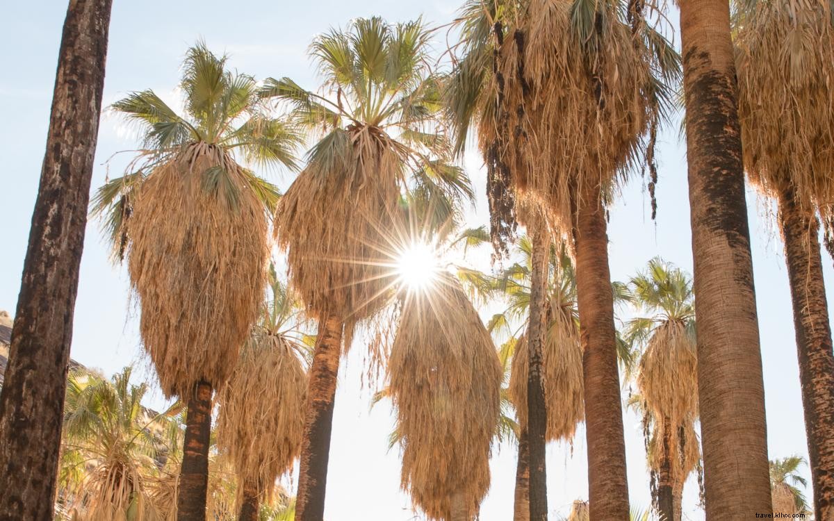 5 Must-Do Outdoor Adventures in Greater Palm Springs