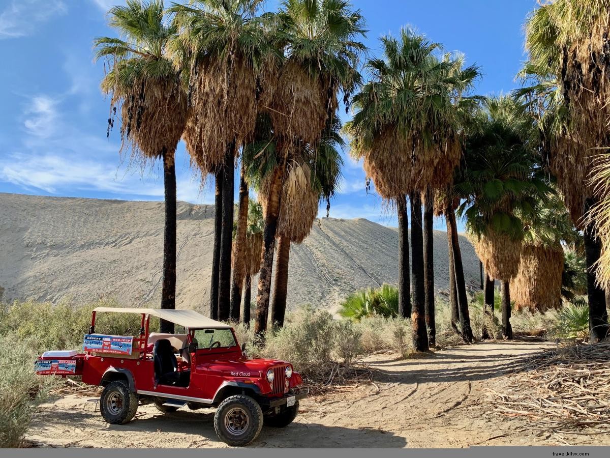 5 Must-Do Outdoor Adventures in Greater Palm Springs