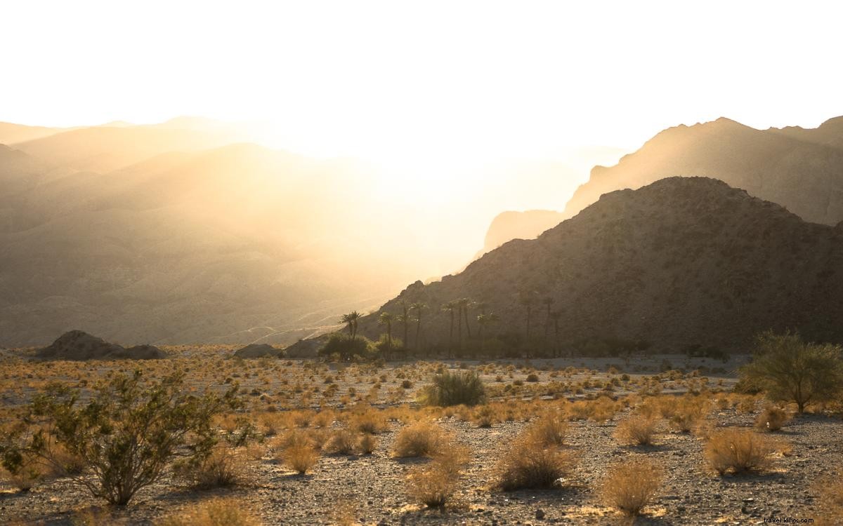 10 Challenging Hiking Trails in Greater Palm Springs to Boost Your Fitness