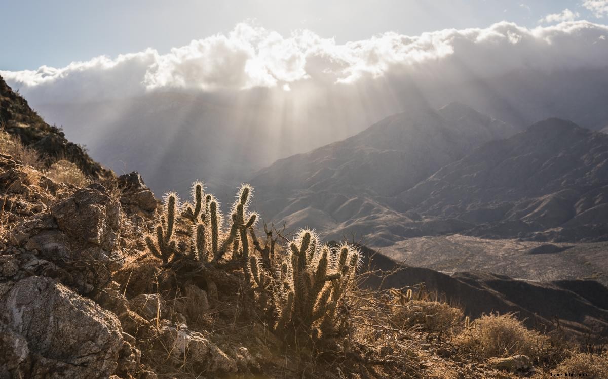 10 Challenging Hiking Trails in Greater Palm Springs to Boost Your Fitness