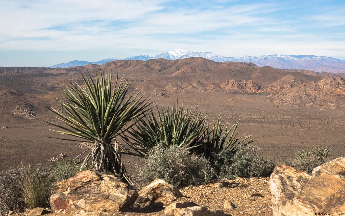 10 Challenging Hiking Trails in Greater Palm Springs to Boost Your Fitness