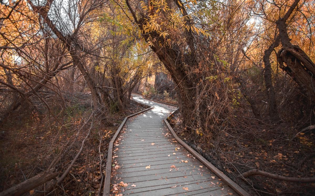 9 Easy and Scenic Hikes in Greater Palm Springs for Picnics and Relaxation