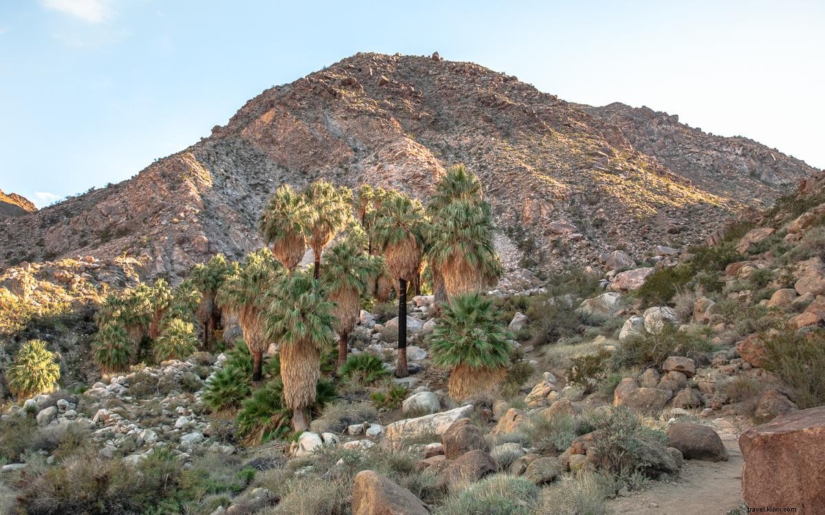 9 Easy and Scenic Hikes in Greater Palm Springs for Picnics and Relaxation