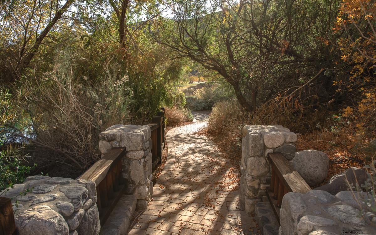 9 Easy and Scenic Hikes in Greater Palm Springs for Picnics and Relaxation