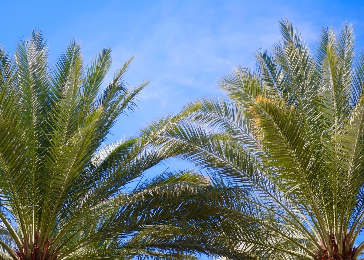 Ultimate Girls  Weekend Getaway in Greater Palm Springs: Complete Itinerary