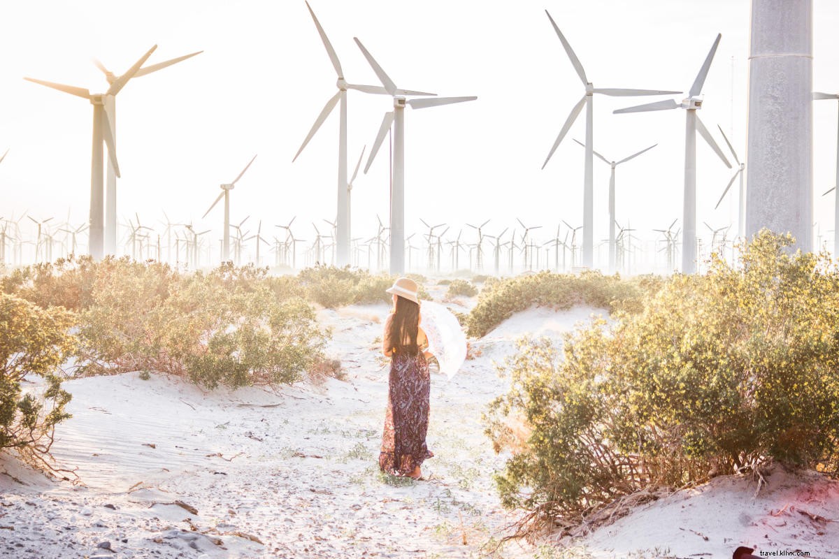 Ultimate Girls  Weekend Getaway in Greater Palm Springs: Complete Itinerary