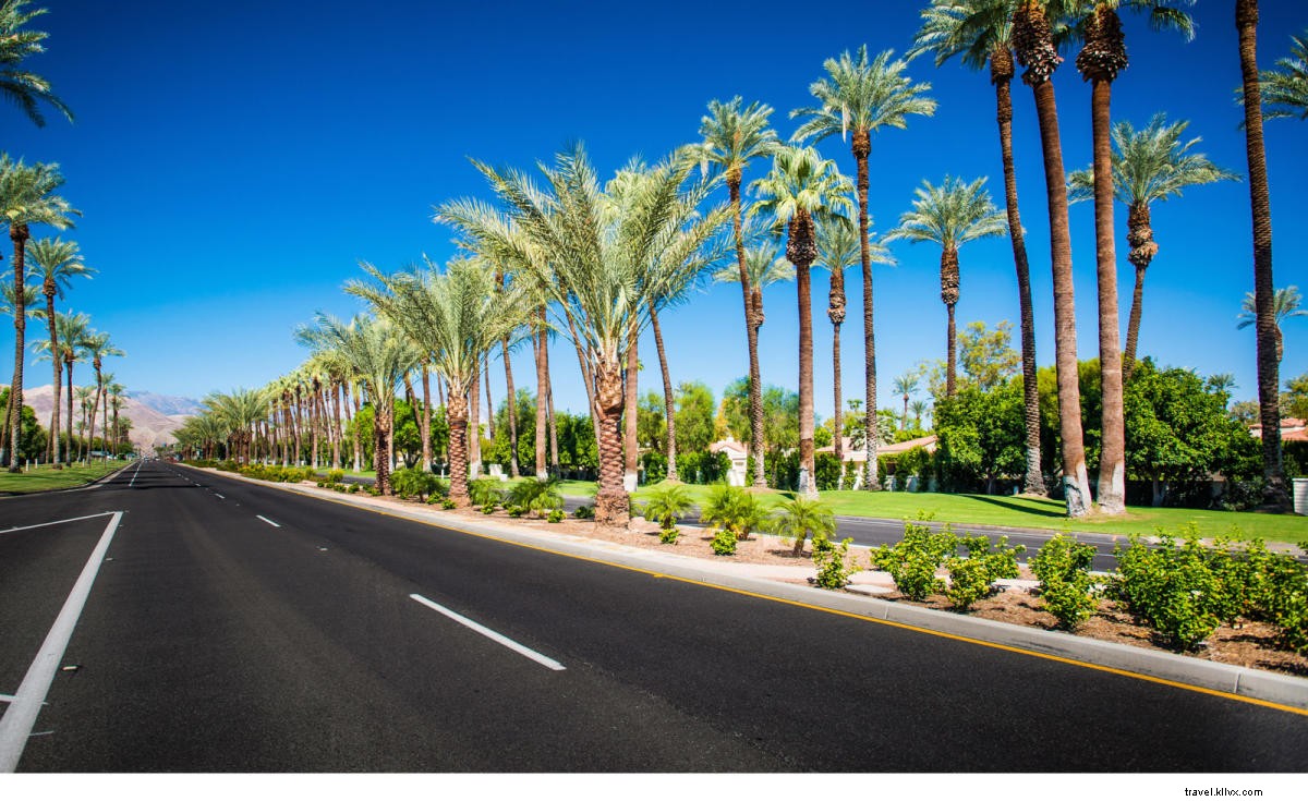 IRONMAN 70.3 Indian Wells La Quinta: Complete Guide to Course, Entry & Spectating