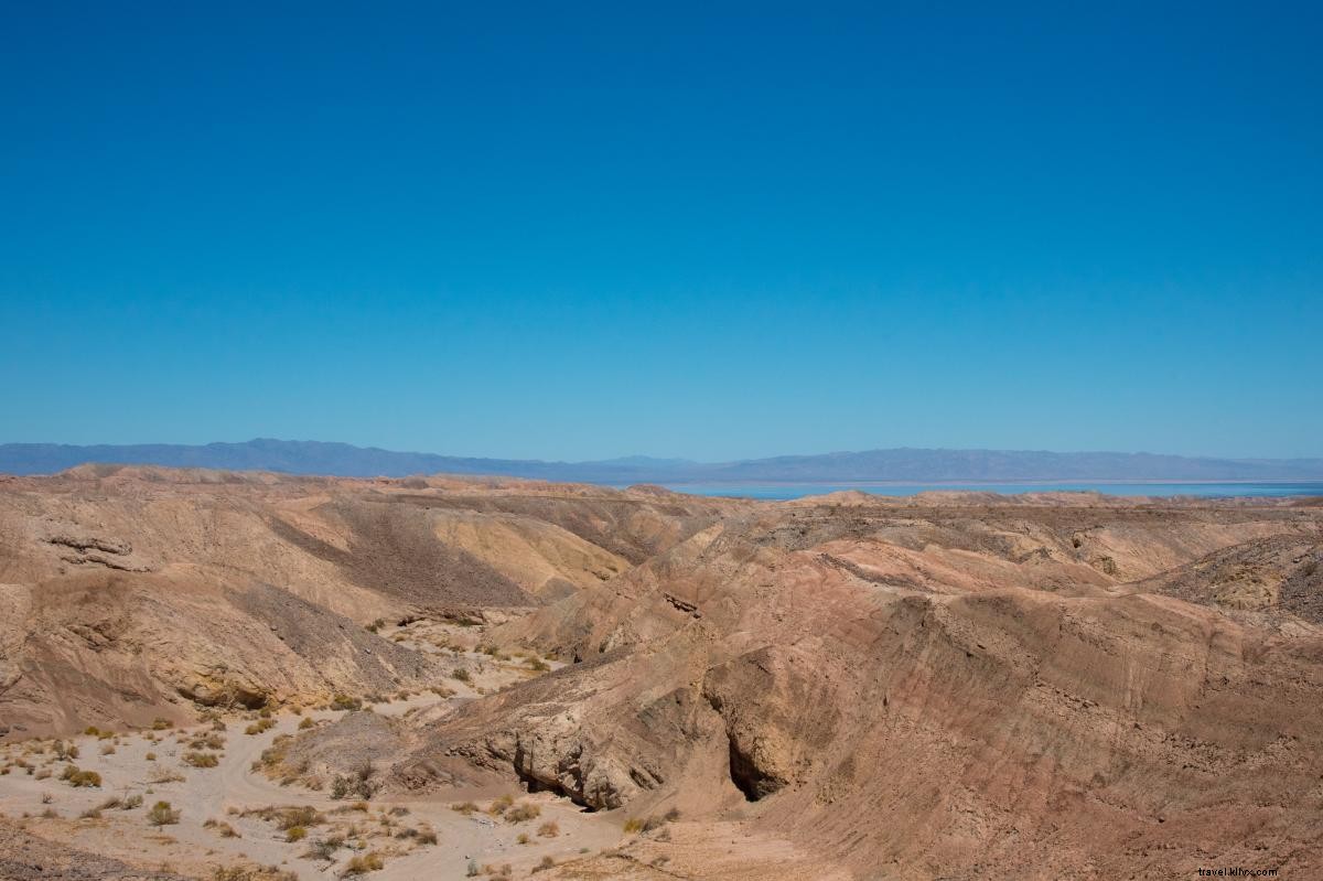Discover Borrego Springs: A Perfect 2-Day Itinerary in Anza-Borrego Desert State Park