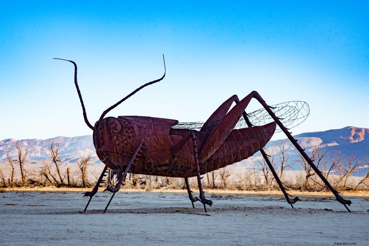 Discover Borrego Springs: A Perfect 2-Day Itinerary in Anza-Borrego Desert State Park