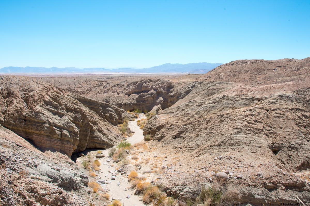Discover Borrego Springs: A Perfect 2-Day Itinerary in Anza-Borrego Desert State Park