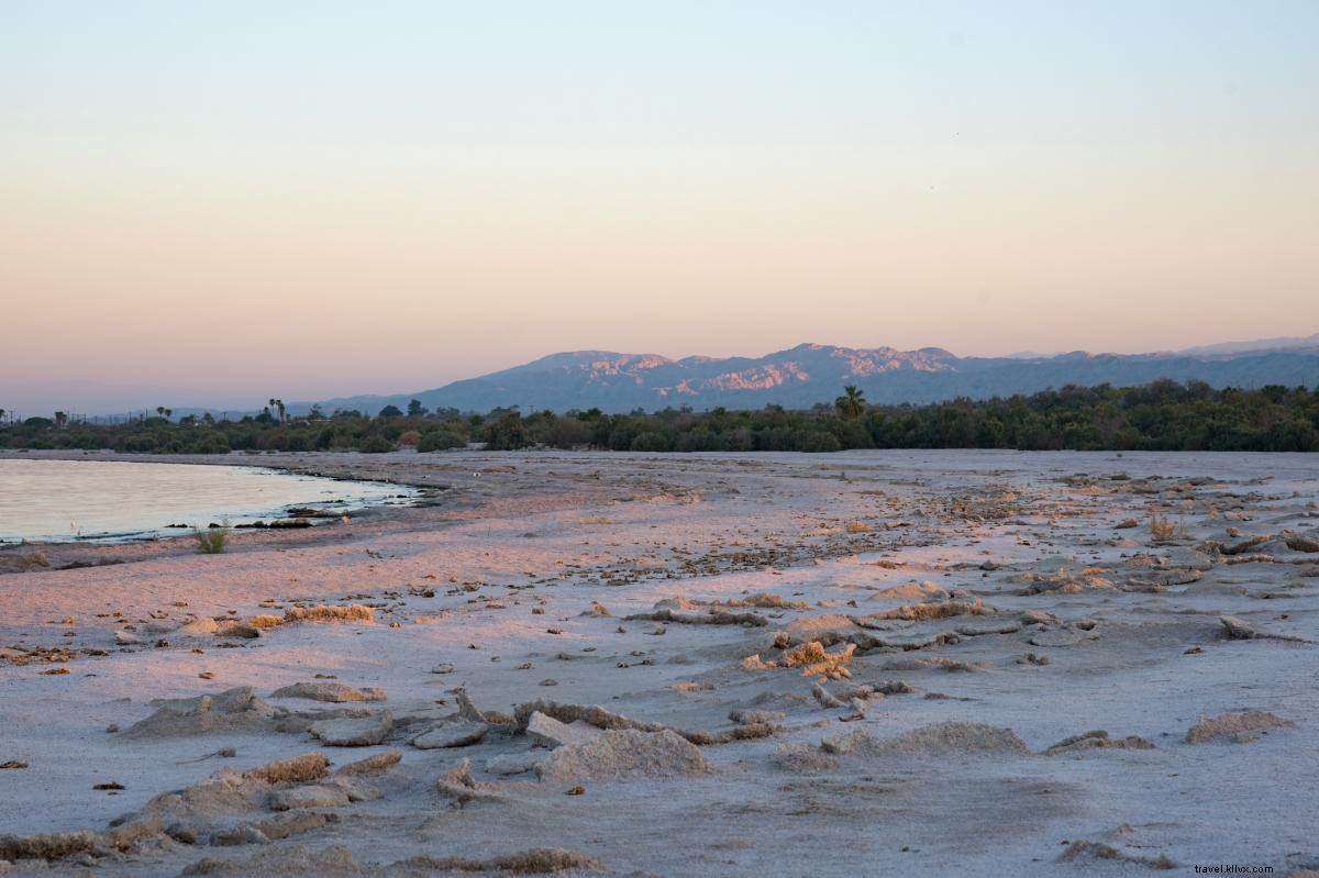 Explore the Salton Sea: Ultimate Day Trip Guide from Palm Springs