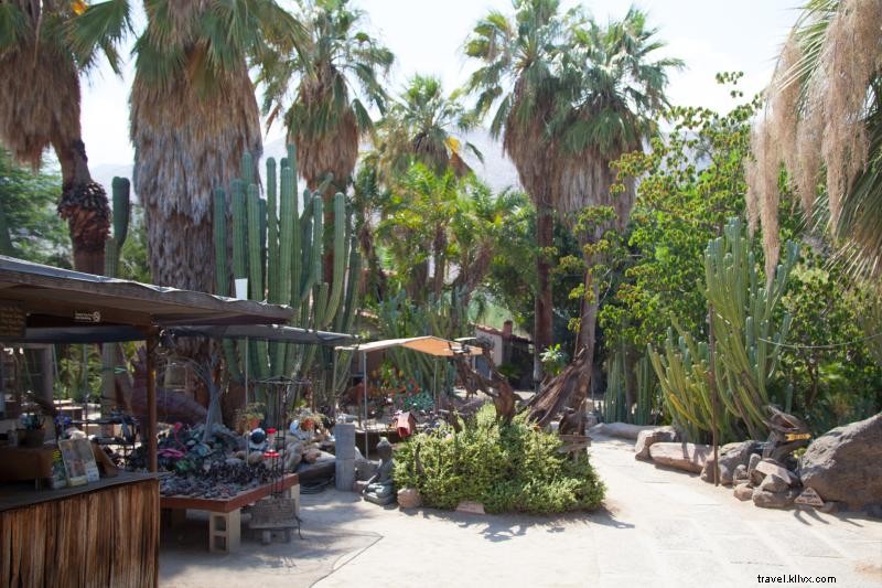 Ultimate Guide to Desert Gardens, Nurseries & Plant Hotspots in Greater Palm Springs
