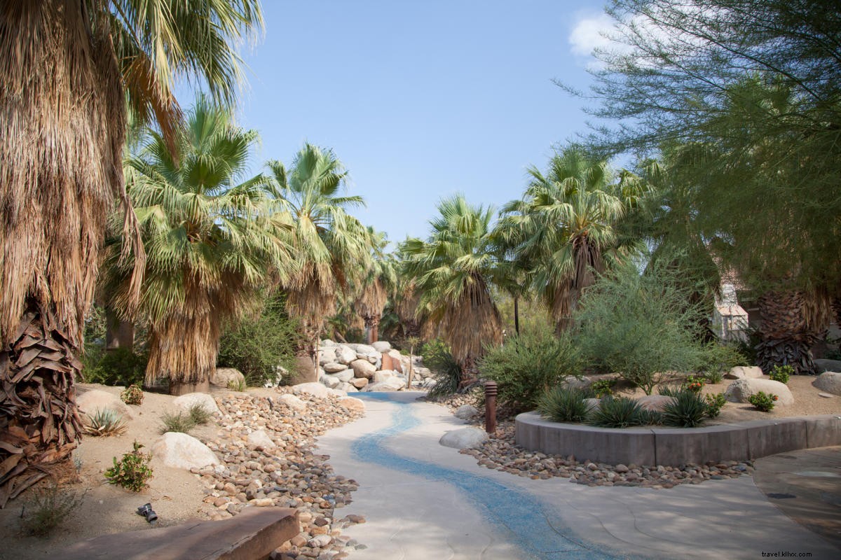 Ultimate Guide to Desert Gardens, Nurseries & Plant Hotspots in Greater Palm Springs