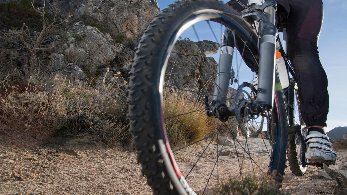 Explore Greater Palm Springs by Bike: Top Rentals, Routes, and Essential Tips