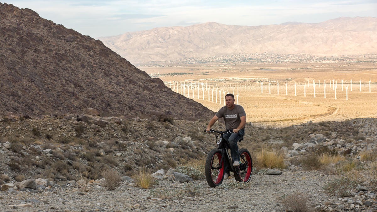 Explore Greater Palm Springs by Bike: Top Rentals, Routes, and Essential Tips