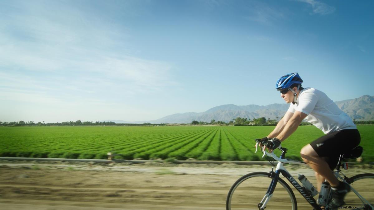 Explore Greater Palm Springs by Bike: Top Rentals, Routes, and Essential Tips