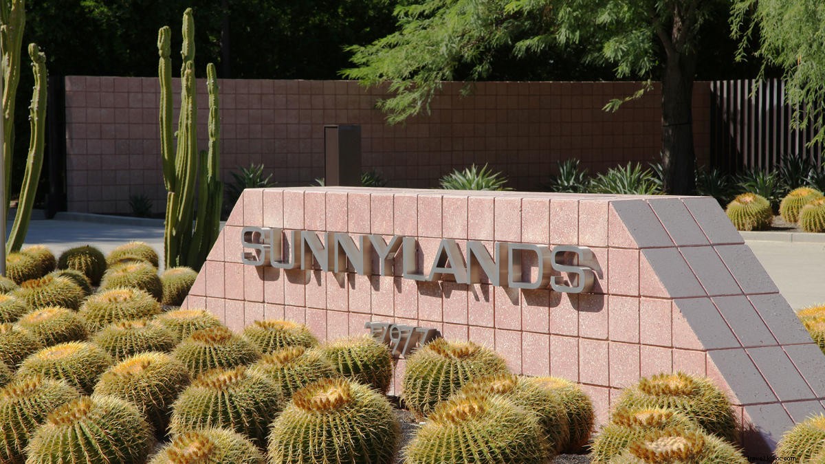 Essential Modernist Experiences in Greater Palm Springs: Modernism Week Highlights and Year-Round Gems