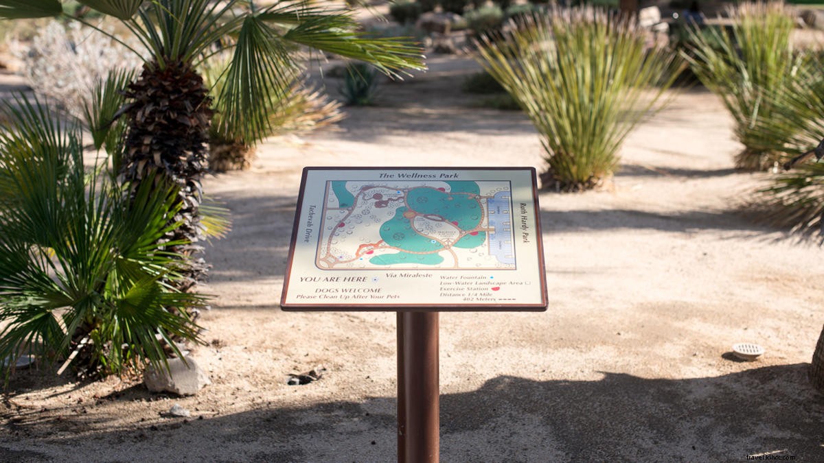 Discover Free, Fun Fitness Activities in Greater Palm Springs