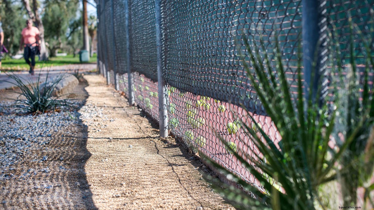 Discover Free, Fun Fitness Activities in Greater Palm Springs