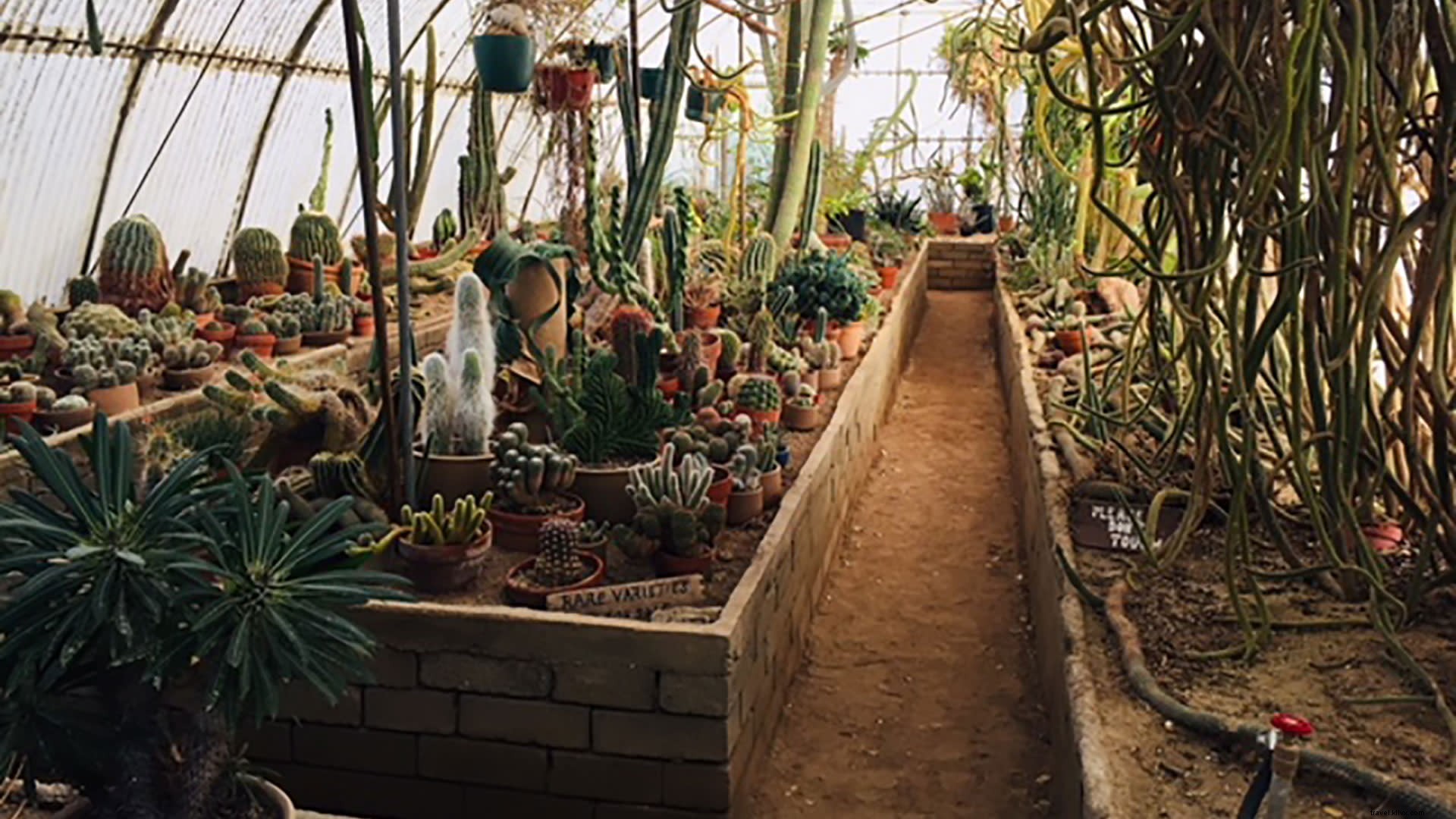 Best Picnic Spots and Exploration Sites in Greater Palm Springs