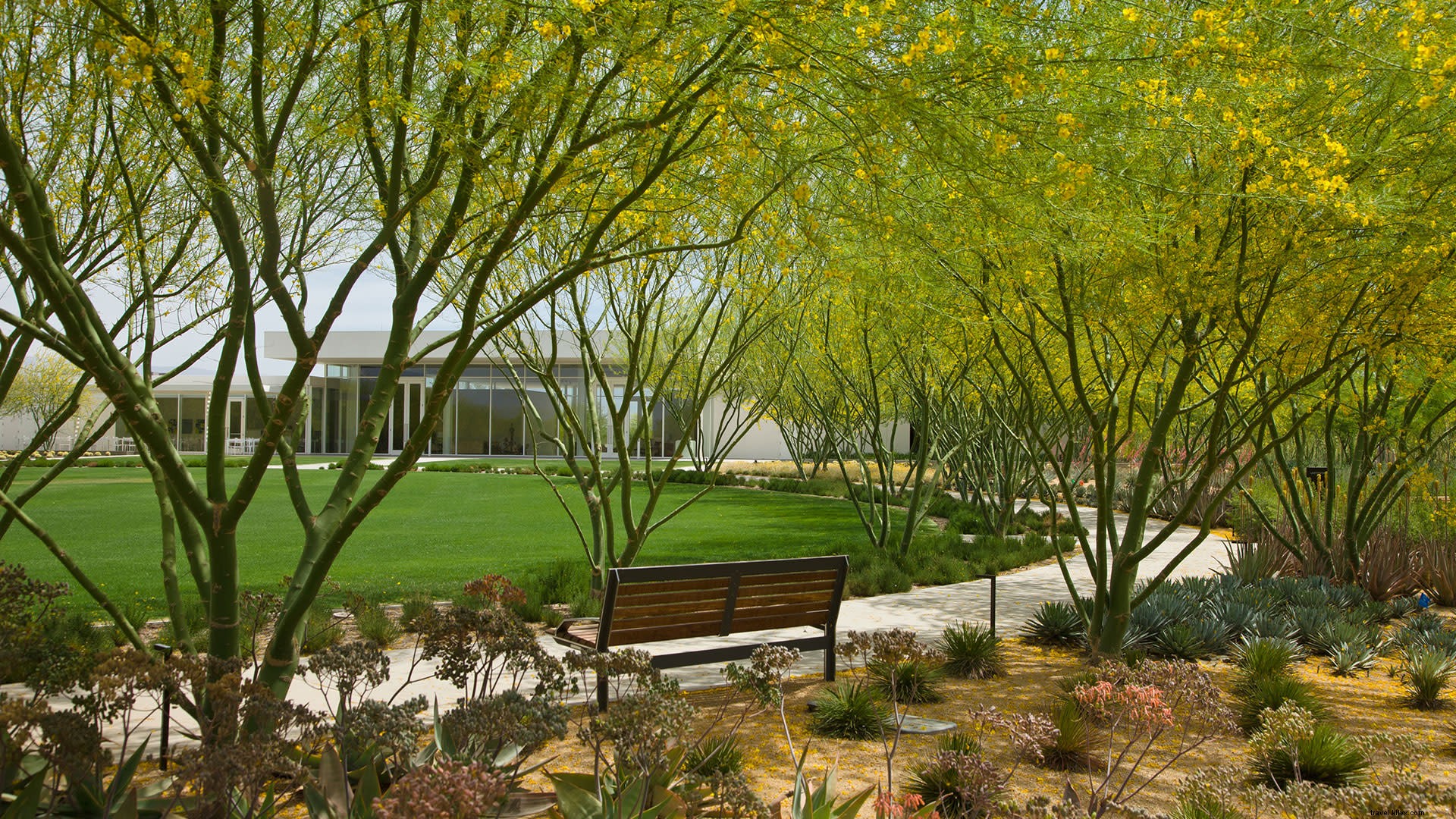 Best Picnic Spots and Exploration Sites in Greater Palm Springs