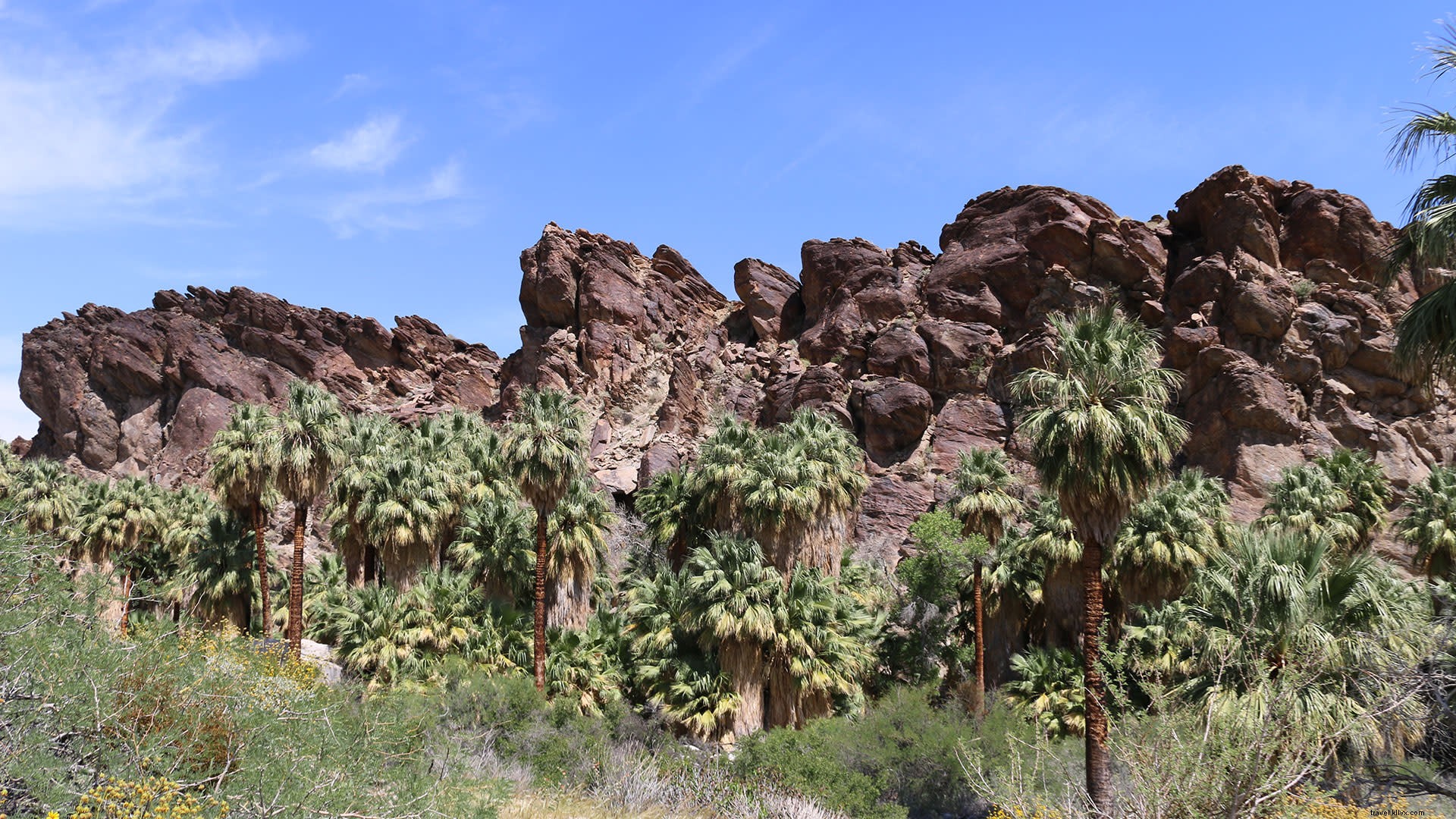 Best Picnic Spots and Exploration Sites in Greater Palm Springs