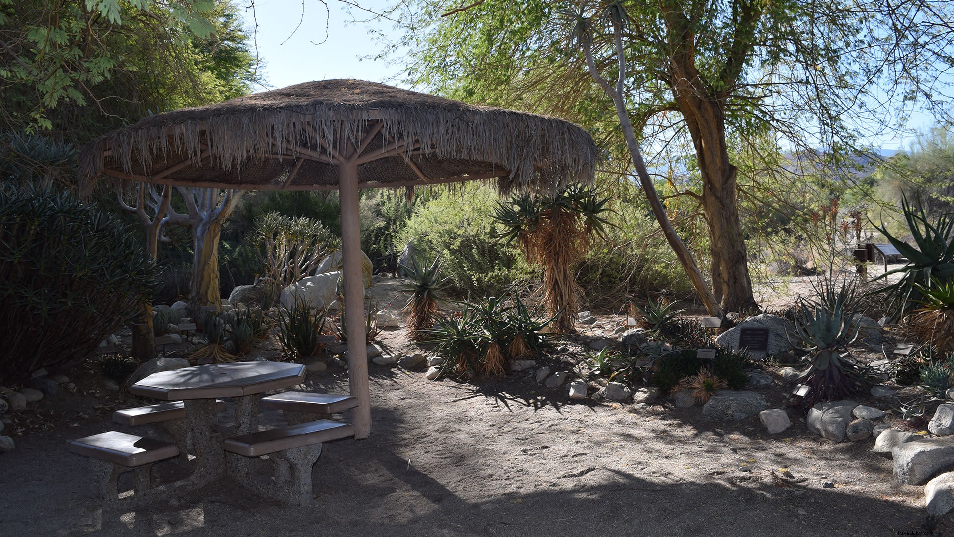 Best Picnic Spots and Exploration Sites in Greater Palm Springs