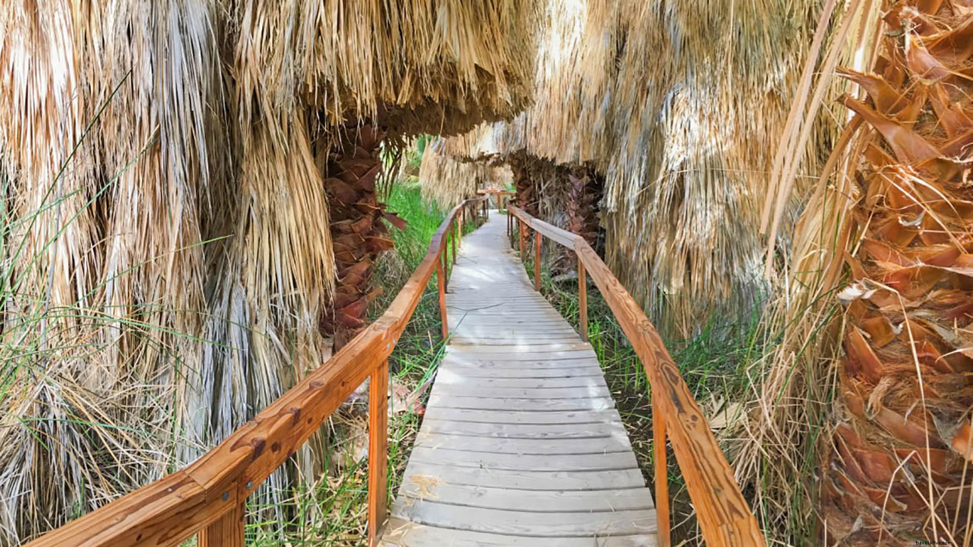 Best Picnic Spots and Exploration Sites in Greater Palm Springs