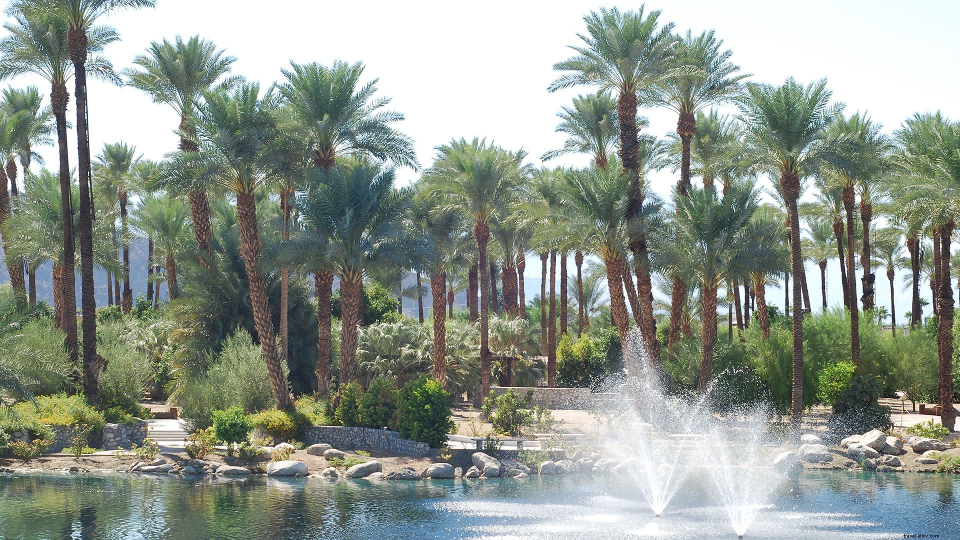 Best Picnic Spots and Exploration Sites in Greater Palm Springs