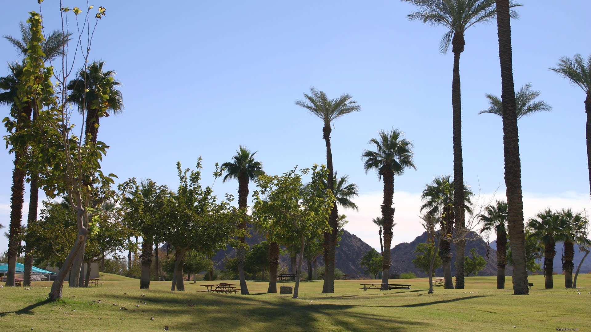 Best Picnic Spots and Exploration Sites in Greater Palm Springs