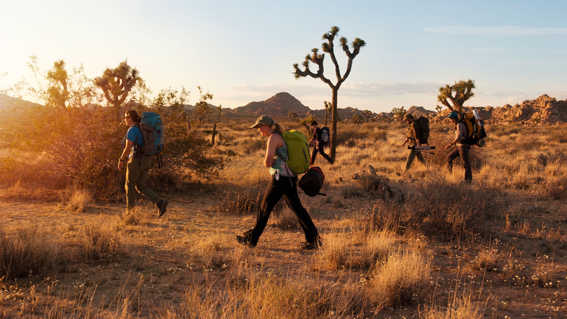 Best Hikes in Greater Palm Springs for Every Skill Level: Beginner to Expert