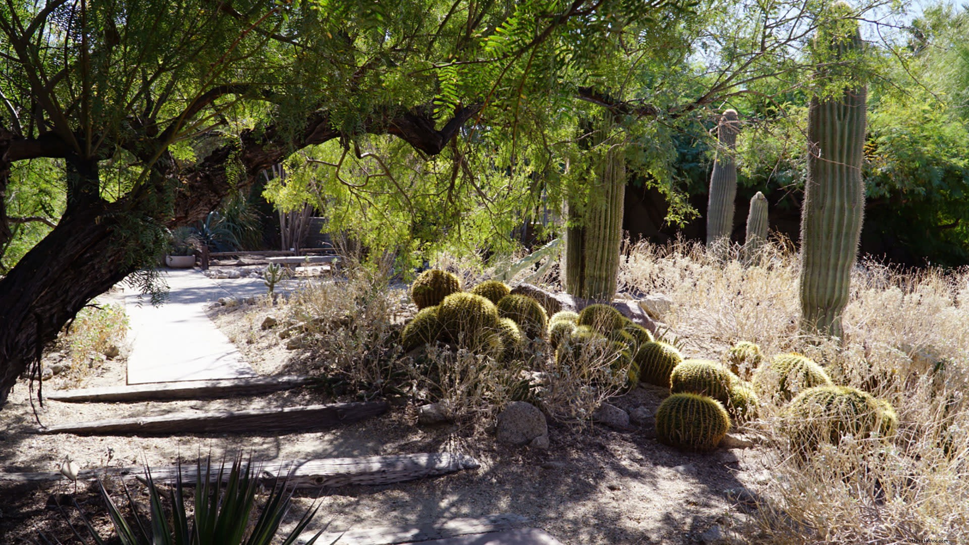 Ultimate 48-Hour Foodie Itinerary: Eat, Explore, and Unwind in Greater Palm Springs