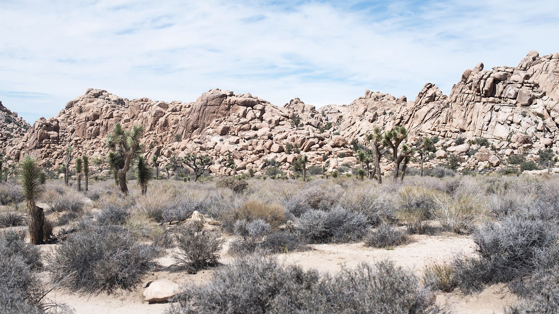 6 Compelling Reasons to Visit Greater Palm Springs This Winter