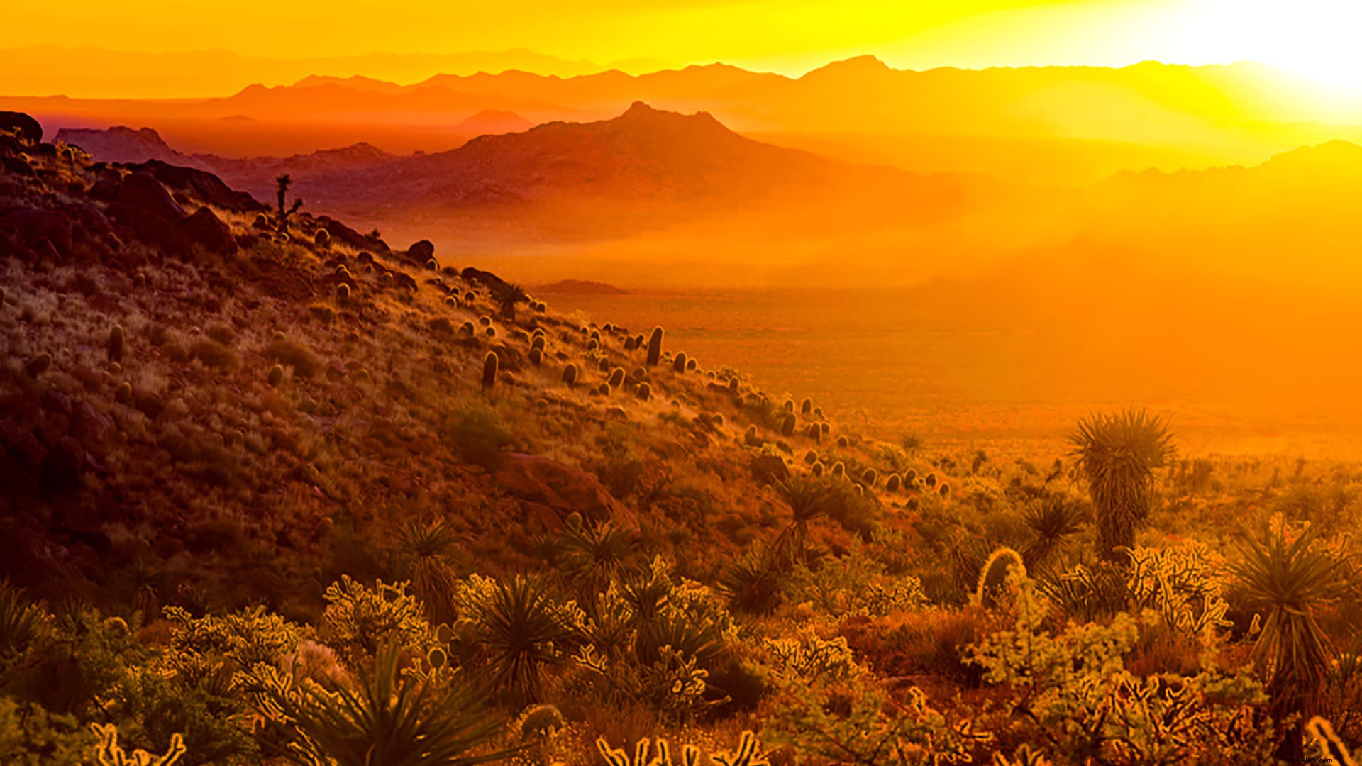 Mitchell Caverns Reopens: Explore California s Only State Park Limestone Caves
