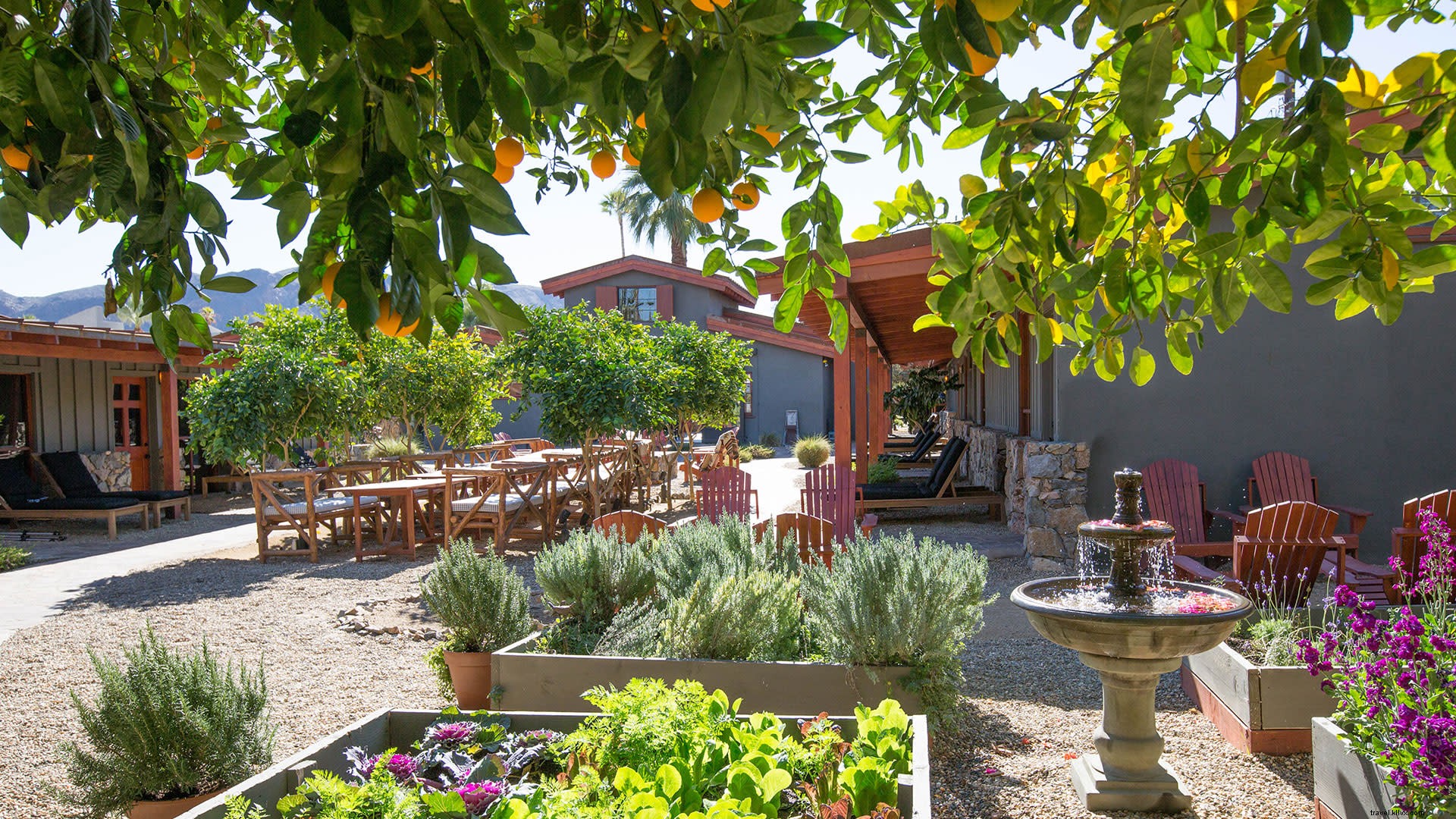 Ultimate Stylish Weekend Guide: Design, Fashion, and Architecture in Greater Palm Springs