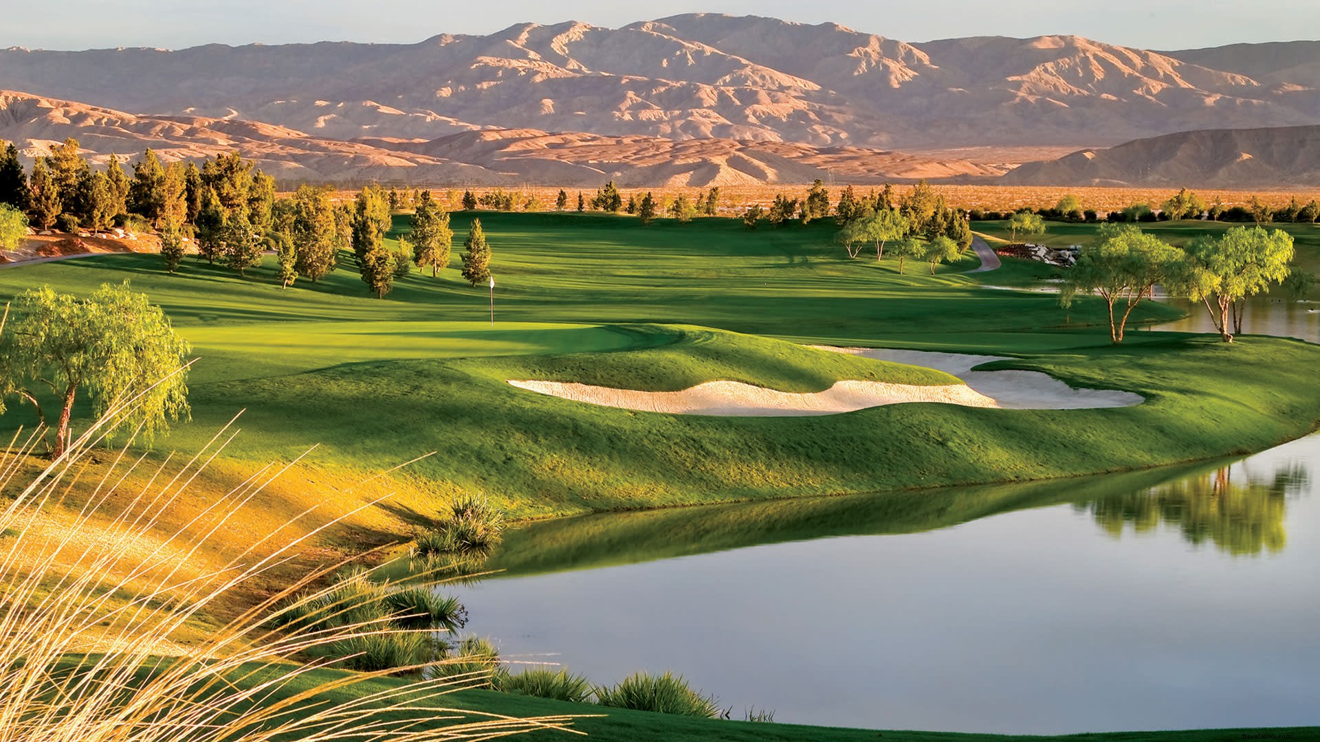 Play Where the Pros Play: Premier Public Golf Courses in Greater Palm Springs