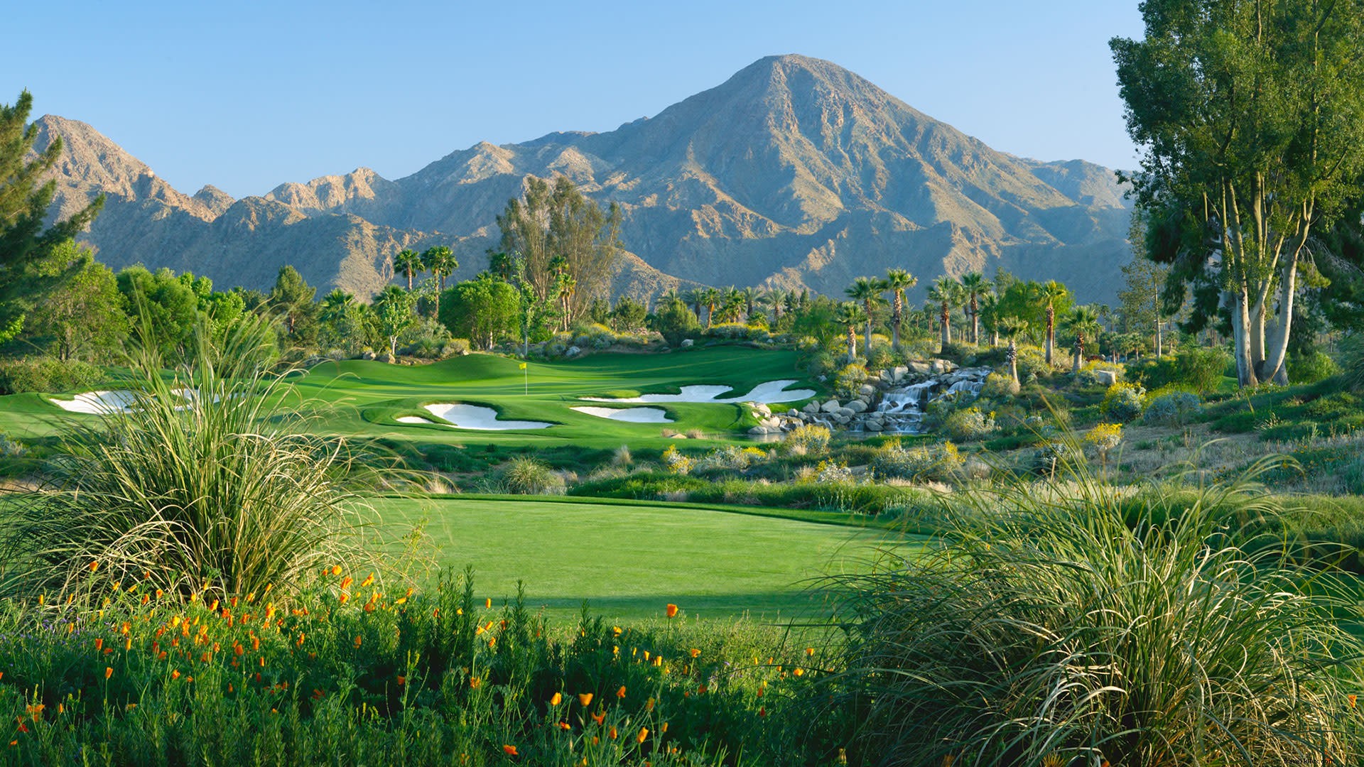 Play Where the Pros Play: Premier Public Golf Courses in Greater Palm Springs