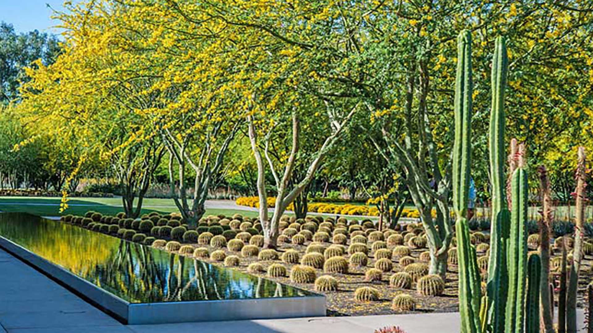 10 Proven Ways to Save Money on Your Greater Palm Springs Vacation