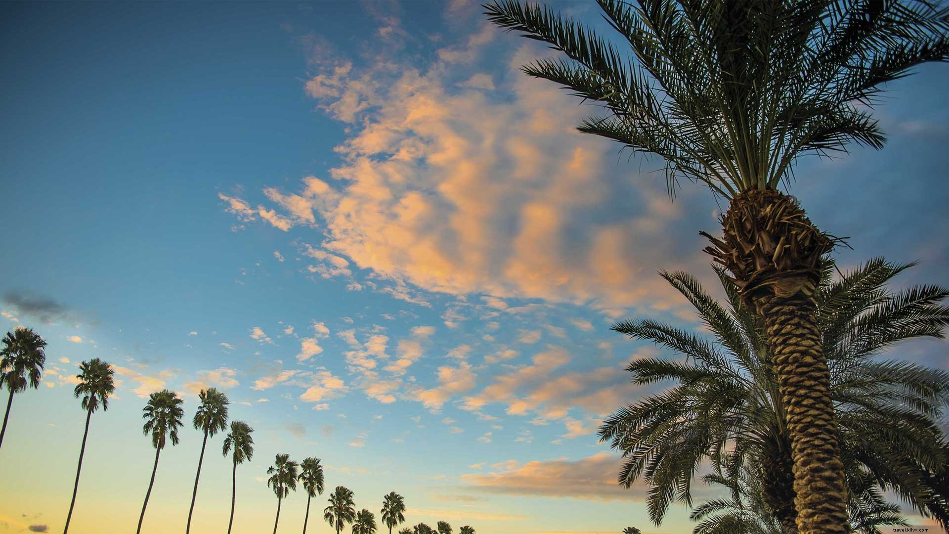 10 Proven Ways to Save Money on Your Greater Palm Springs Vacation