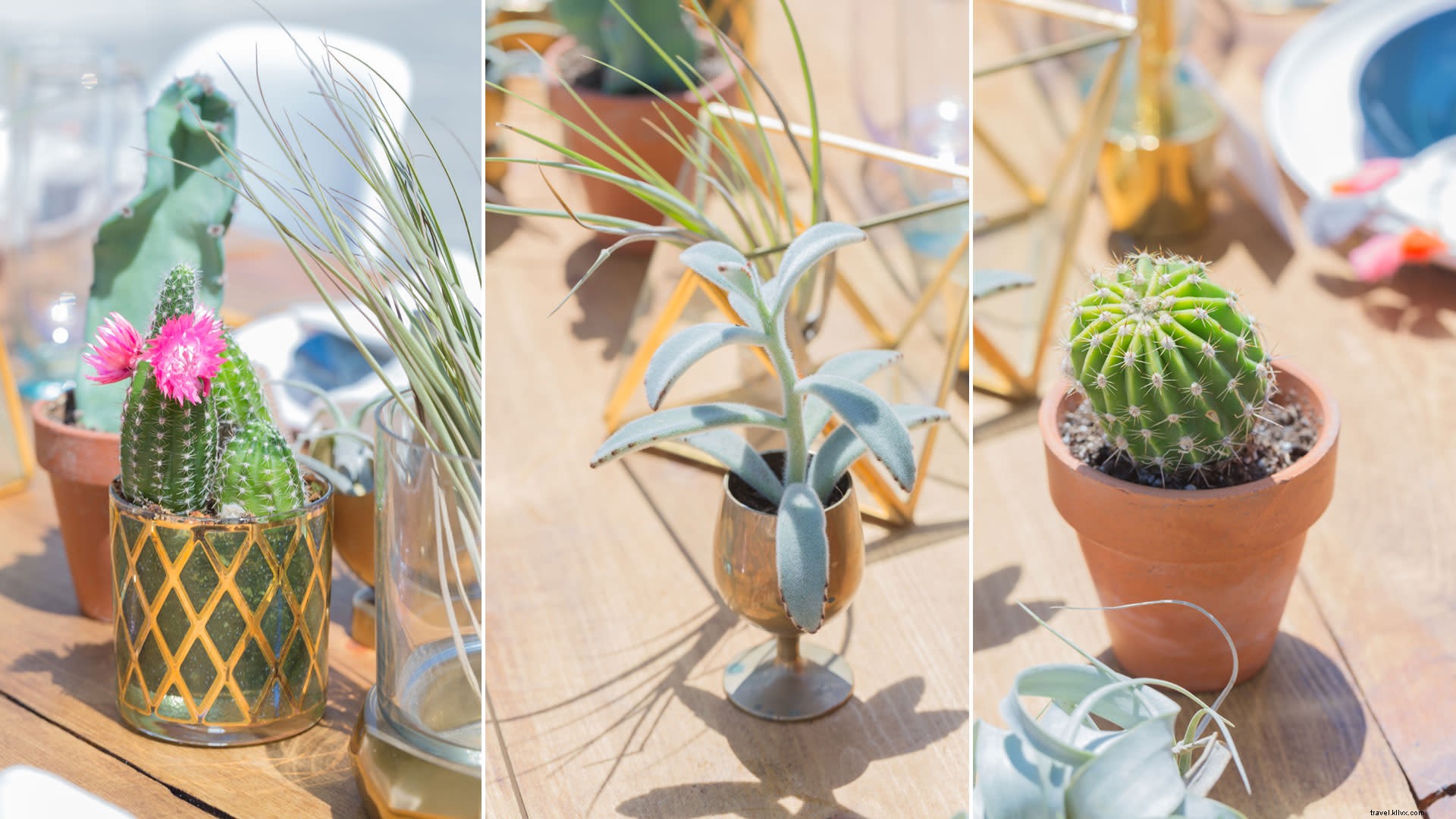 Plan the Perfect Birthday Party in Greater Palm Springs: 30th Brunch Inspiration