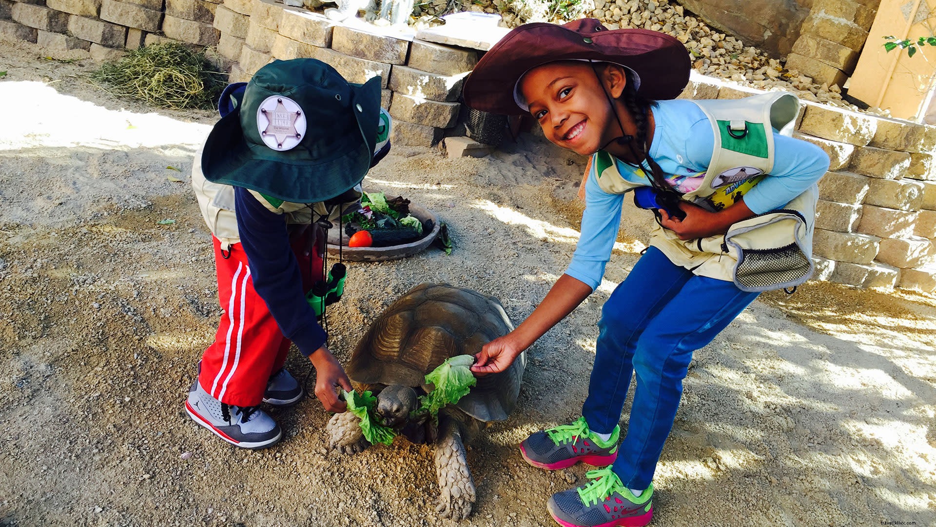 Best Family-Friendly Hotels and Resorts in Greater Palm Springs