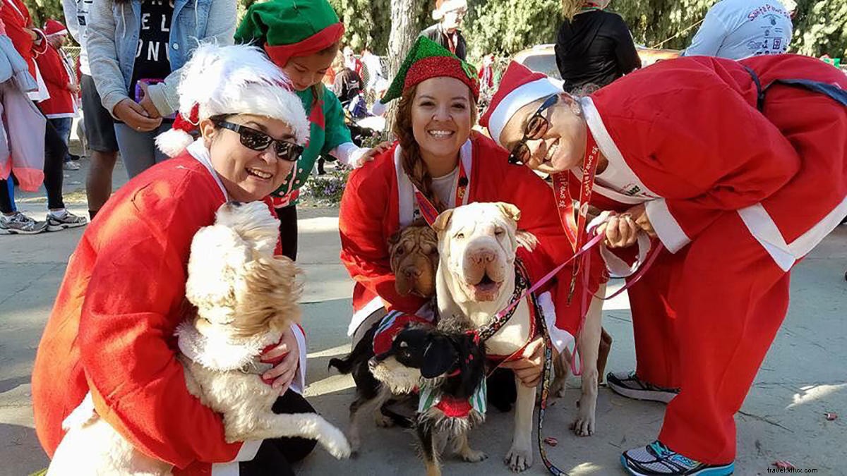 Ultimate Guide to 5K Runs, Walks & Challenges in Greater Palm Springs (2019-2020 Season)