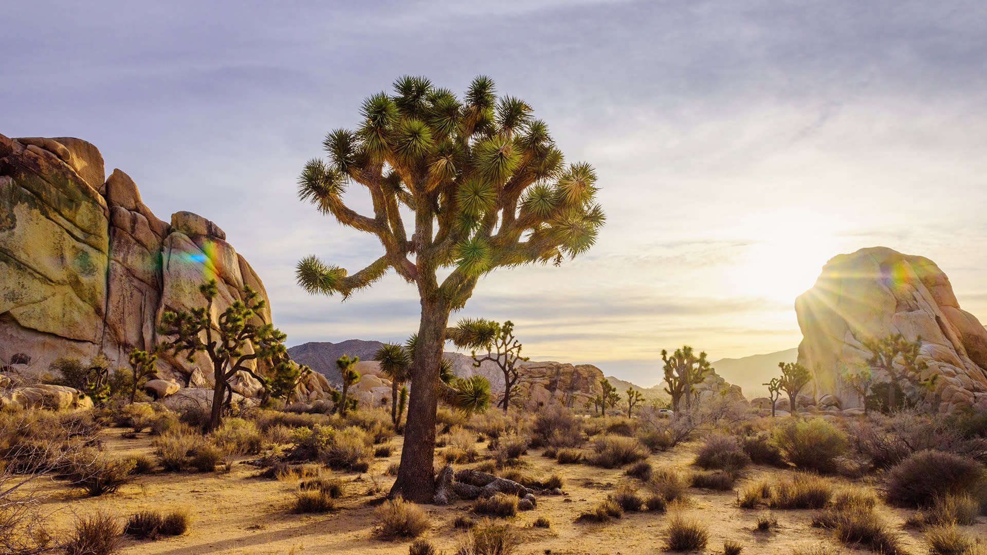 Stay Healthy and Active This Summer in Greater Palm Springs: Expert Tips