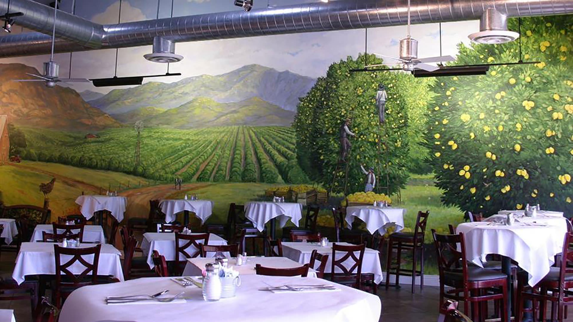 Discover Lancaster, CA: A Vibrant High-Desert Getaway with Art, Culture, and Adventure