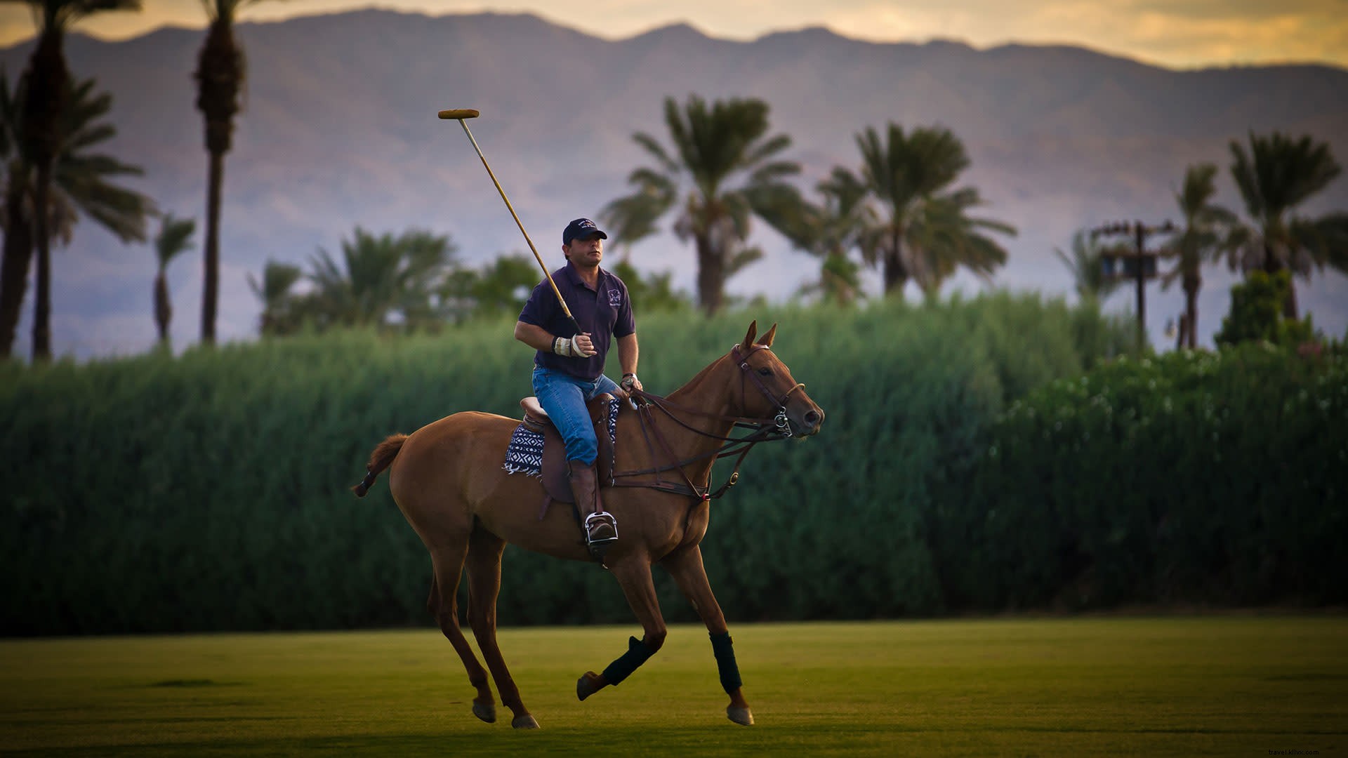 Must-See Sporting Events in Greater Palm Springs: 2017 Highlights