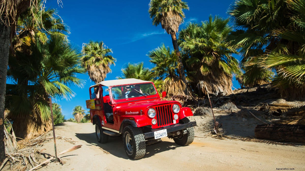Ultimate 3-Day Desert Adventure Itinerary: San Diego to Greater Palm Springs