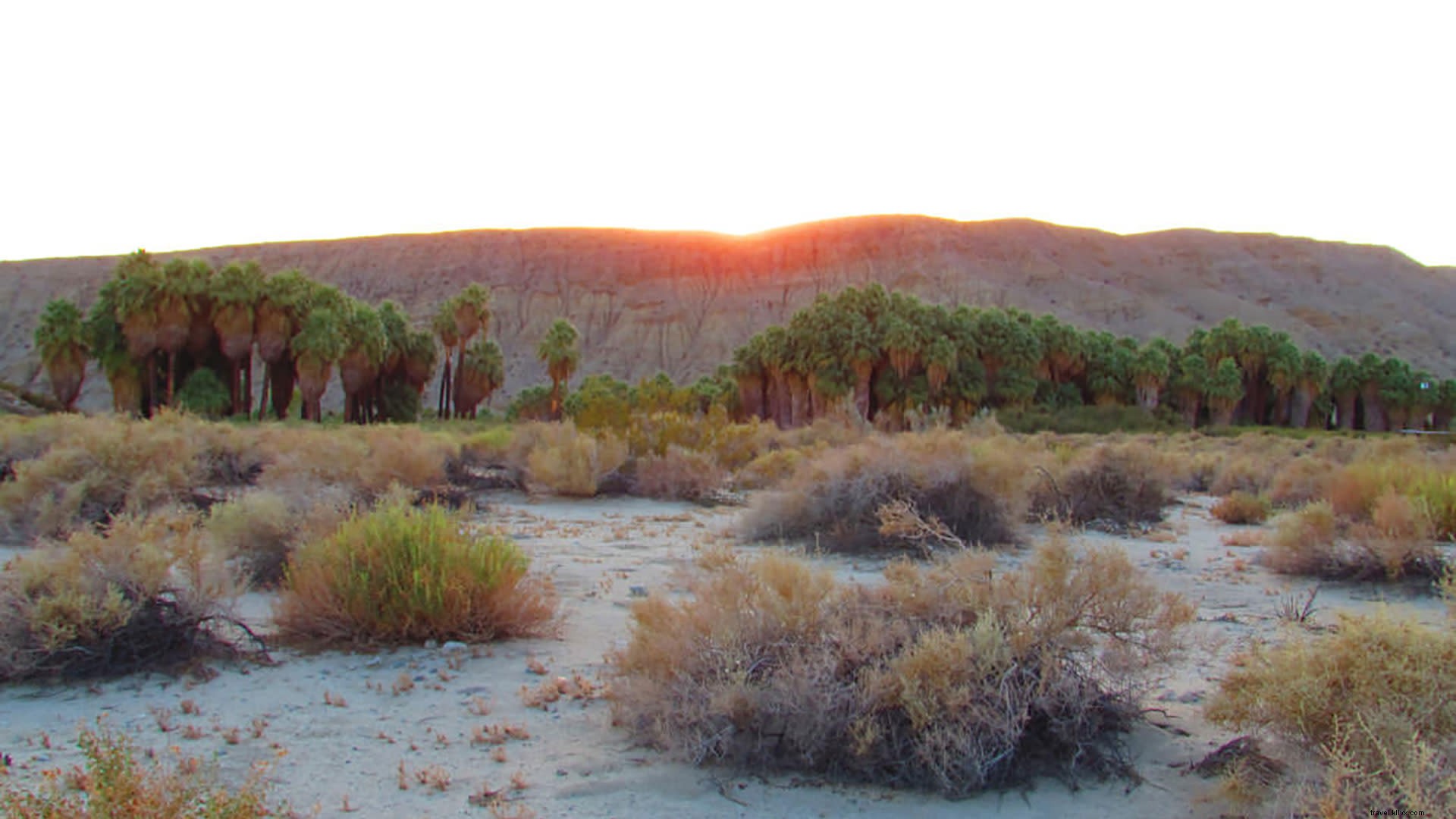 Top Oasis Hikes in Greater Palm Springs: Stunning Desert Trails and Hidden Gems