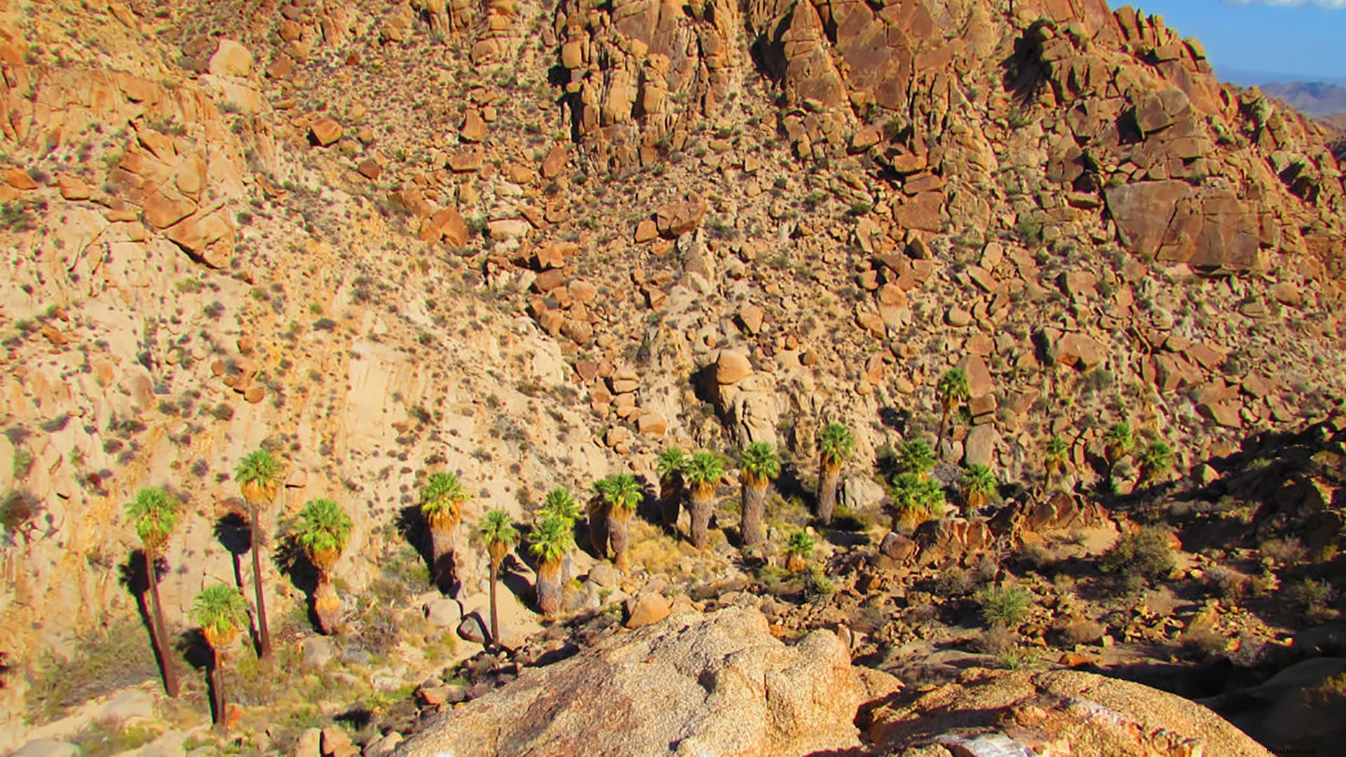 Top Oasis Hikes in Greater Palm Springs: Stunning Desert Trails and Hidden Gems