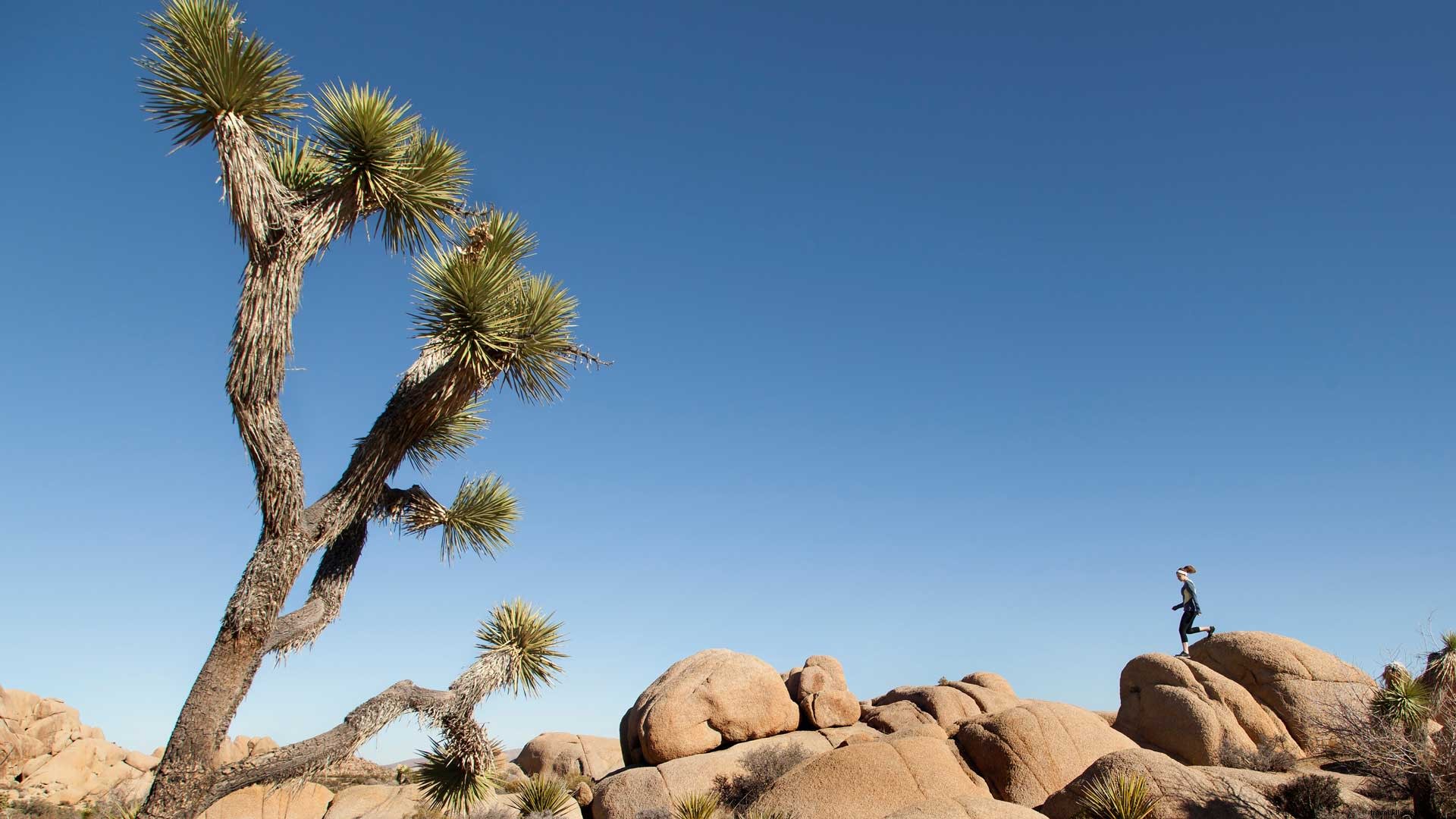 Ultimate 3-Day Desert Itinerary: Explore the Stunning Landscapes Around Greater Palm Springs