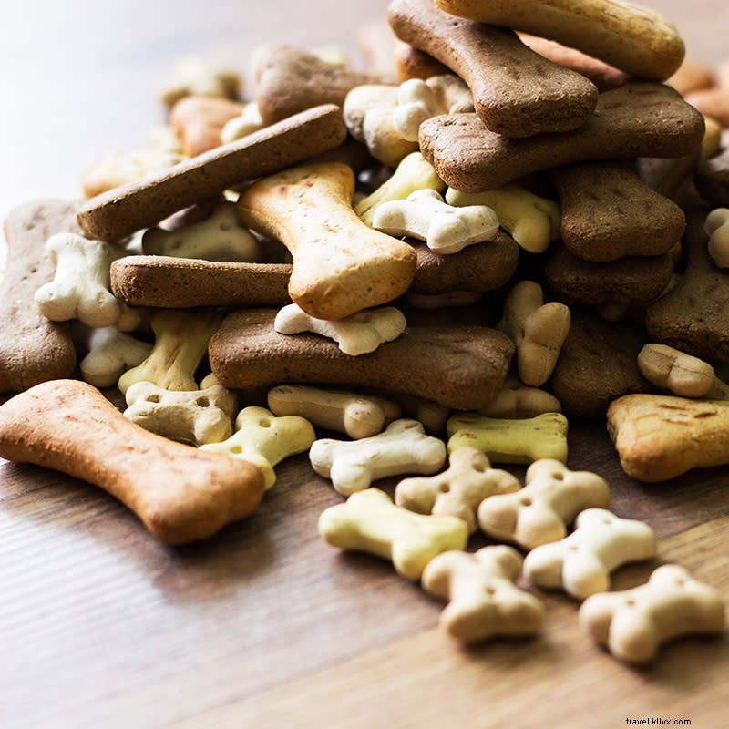 Discover Premier Dog Boutiques in Greater Palm Springs: Ultimate Pampering for Your Pup